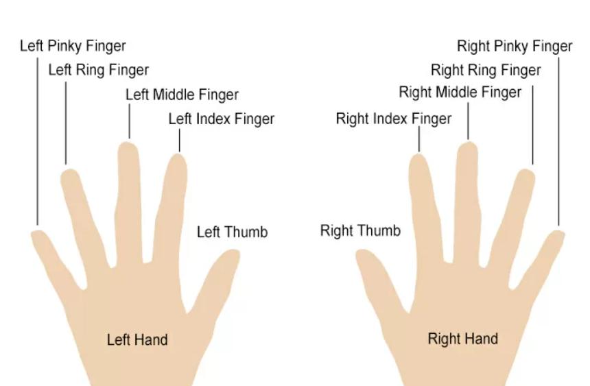 Левая рука темнее правой. Значение колец на пальцах. Символы колец на пальцах. Обозначение каждого пальца для кольца. Ношение колец на пальцах.