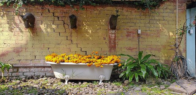 Bathtub with Flowers