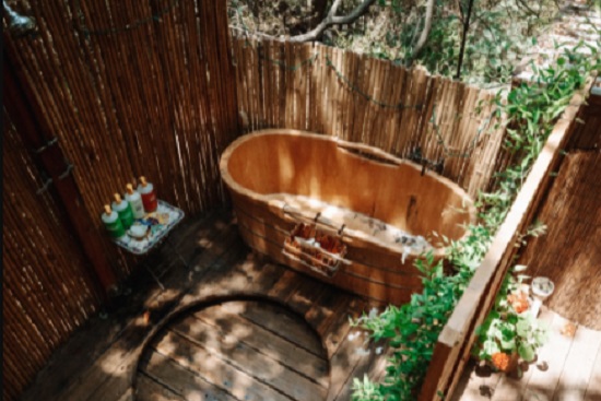 Tropical Inspired Bathtub